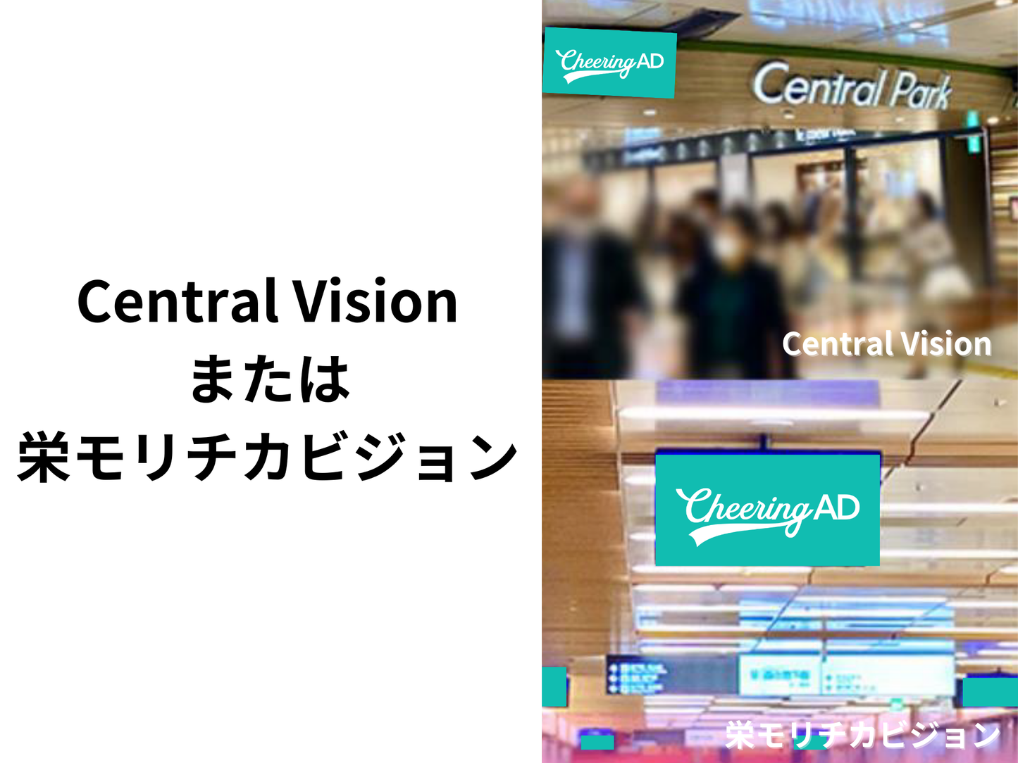 栄モリチカビジョンまたはCentral Vision 1日間 5万円コース